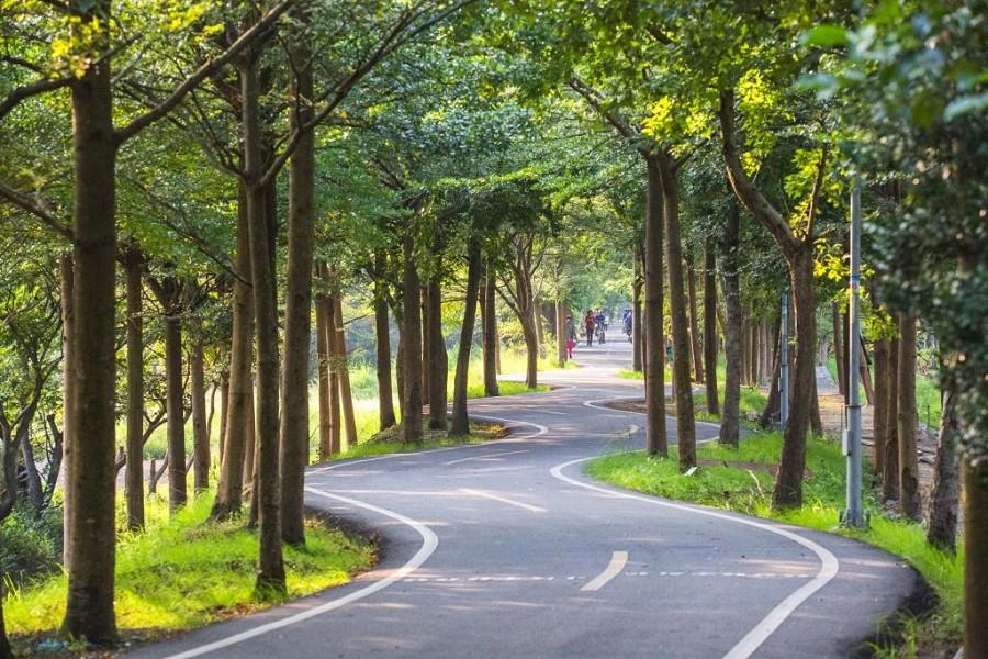 【台中】樂在騎中~潭雅神綠園道自行車慢遊二日(沿途停靠桃園及新竹)