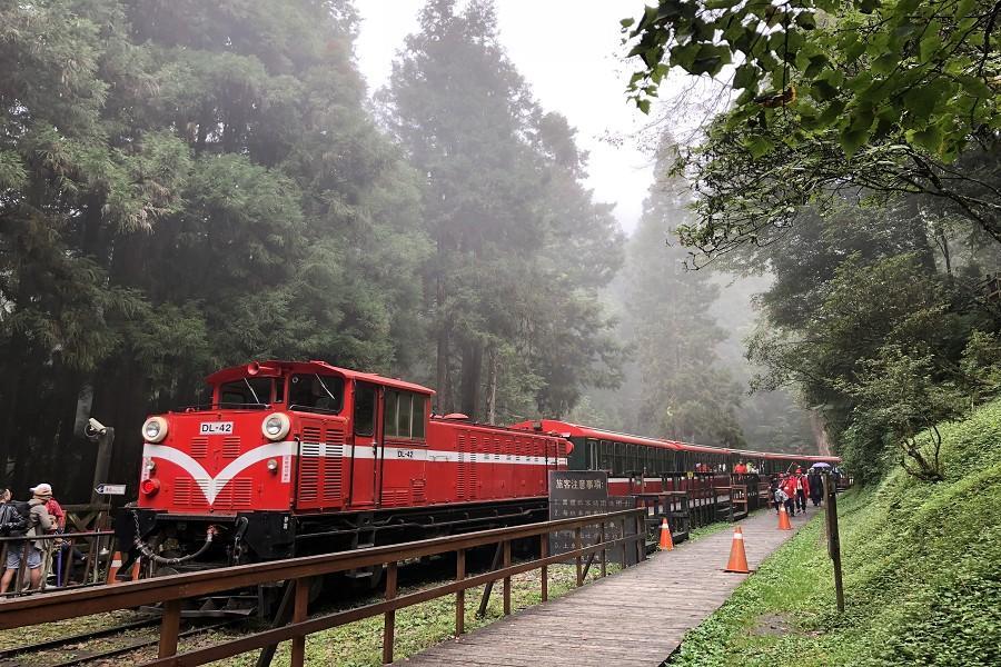 【來嘉森呼吸】阿里山、鰲鼓濕地、朝天宮、三隻小豬農場二日遊