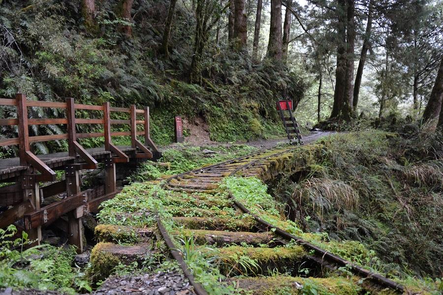 【宜蘭】太平山、漫步翠峰湖、見晴懷古步道、蔥農體驗、落羽松秘境3日