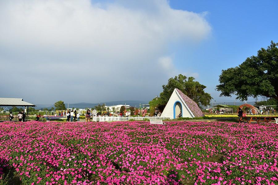 【南投.台中】溪頭、杉林溪、紫南宮招財祈福、竹山小巨蛋、雲仙谷採果.賞櫻、中社花海花團錦簇三日遊(春節出發)