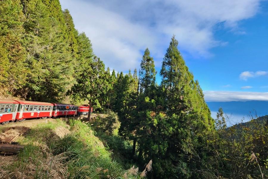 【阿里山雲海入眠】入住阿里山閣、最美森鐵特富野、奮起湖、烤蚵蠔好吃三日