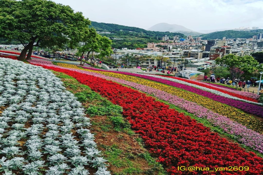 【生炒花燈】三層崎花毯、台北燈節、東密道探秘、圓山水神社2日