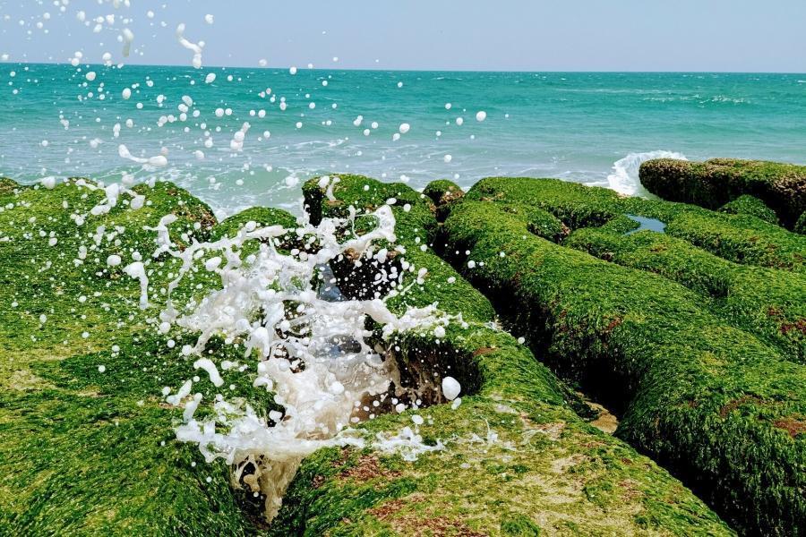 【北北基】老梅綠石槽、和平島、金山老街、獅頭山，山海秘境探索一日遊(走春專案 買一送一)