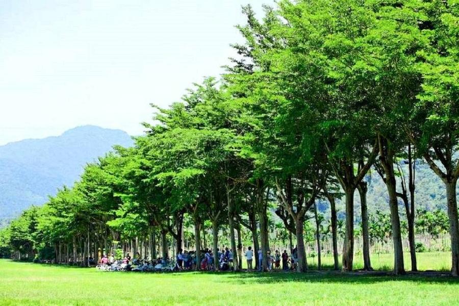 【台中出發】東遊龍田綠色隧道、綠島乘風三日遊