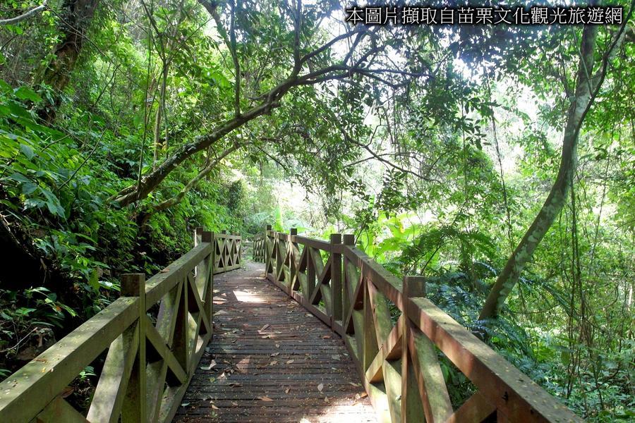 【穿梭美境情幽幽】重返賽夏族狩獵祕徑～鳴鳳古道、宮崎駿彩繪牆、苗栗一日