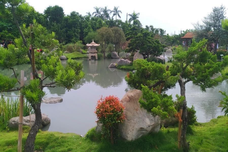 【六都齊發】千巧谷牛牧場、台版兼六園、古坑綠色隧道1日(台南出發)