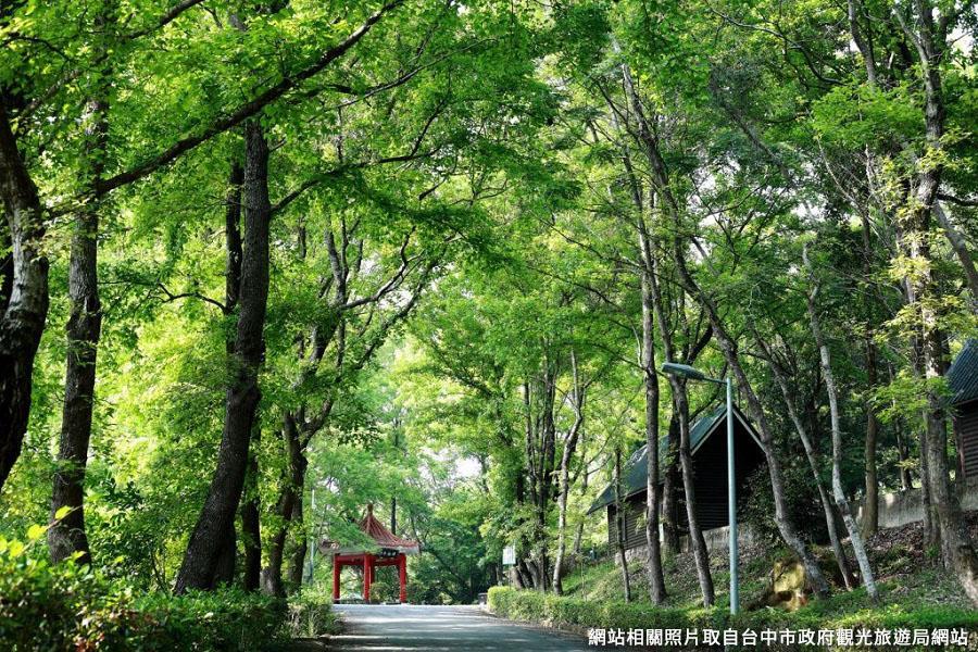 【台中森呼吸】東勢林場、卓也小屋、法式烘培下午茶、紫色葡萄莊園二日