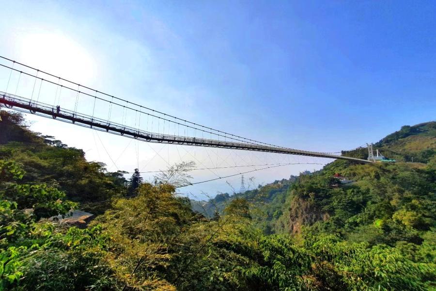 【微旅行-到府接送】秘境茶園深呼吸、太平雲梯一日(台中出發小巴GO)
