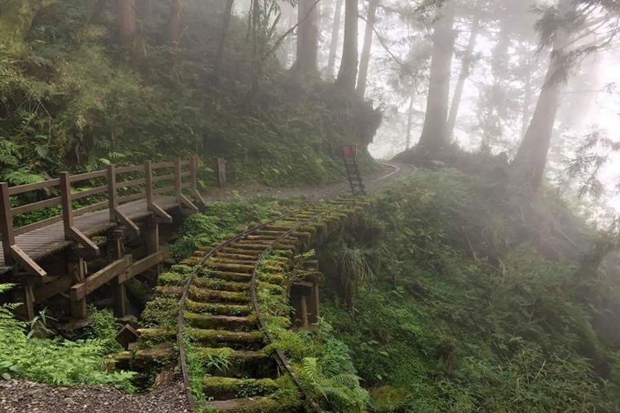 【雲霧繚繞】太平山、見晴懷古步道、魔戒神祕洞窟、五色飯糰DIY2日遊