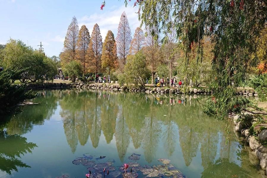 追竹風‧逐豐趣～寶山北埔秋の農旅 新城黑糖饅頭、寶山料理、北埔六塘1日