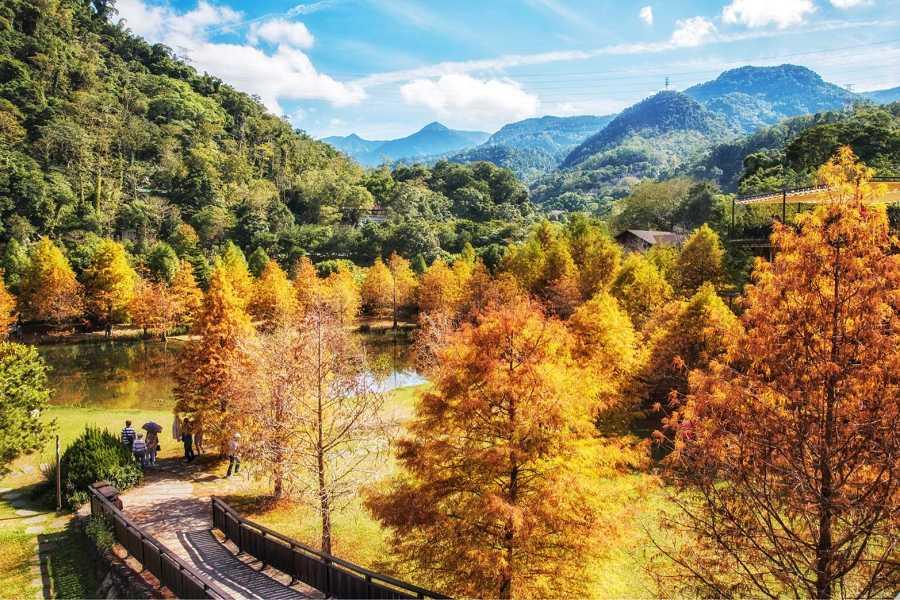 阿凡達原鄉~台東鸞山部落、雲山水夢幻湖落羽松、伯朗大道、戀戀知本三日