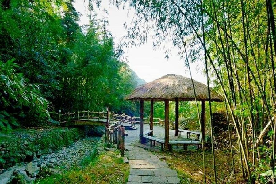 【部落深呼吸】迷糊步道-部落導覽.百年老街奮起湖.茶園品茗漫遊一日B車