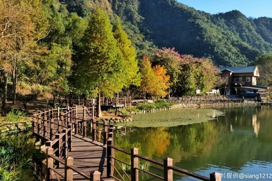 【福虎生風】紫南宮發財旺來、車埕日式美景、集元果香蕉樂園一日遊