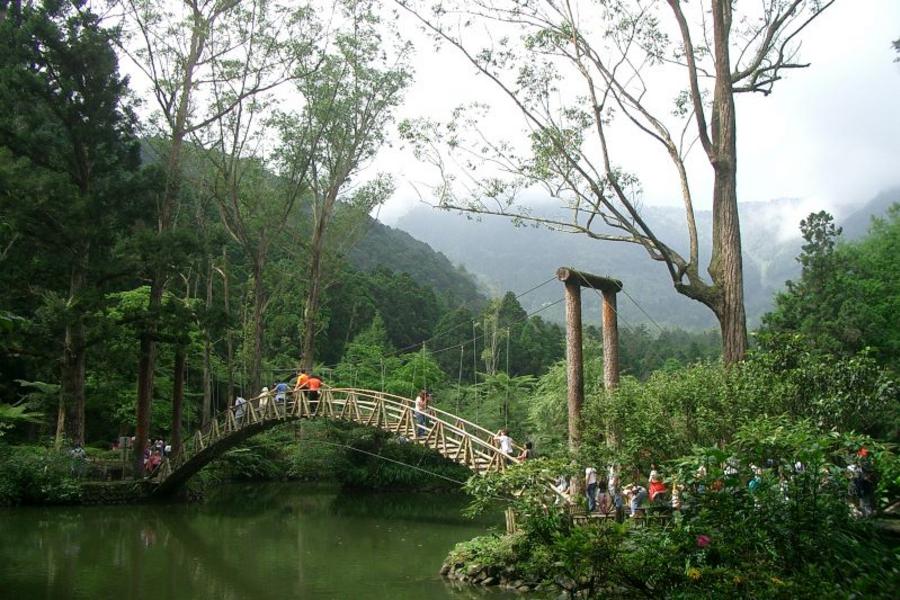 【綠色旅遊】溪頭自然教育園區、探索特有生物、日月潭大淶閣飯店二日遊