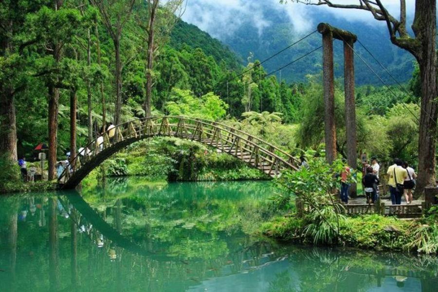【綠色旅遊】溪頭自然園區、日月潭、妖怪村、Hohocha喝喝茶二日遊