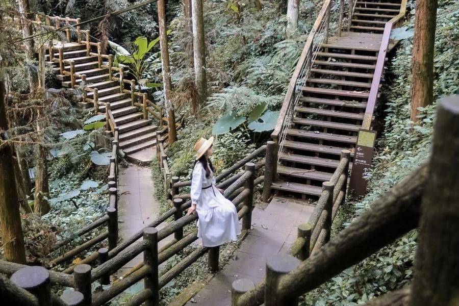 秋賞奇景萬鷺朝鳳、阿葉溪飛瀑、卡羅爾銅管樂章、仙人掘步道一泊三食二日