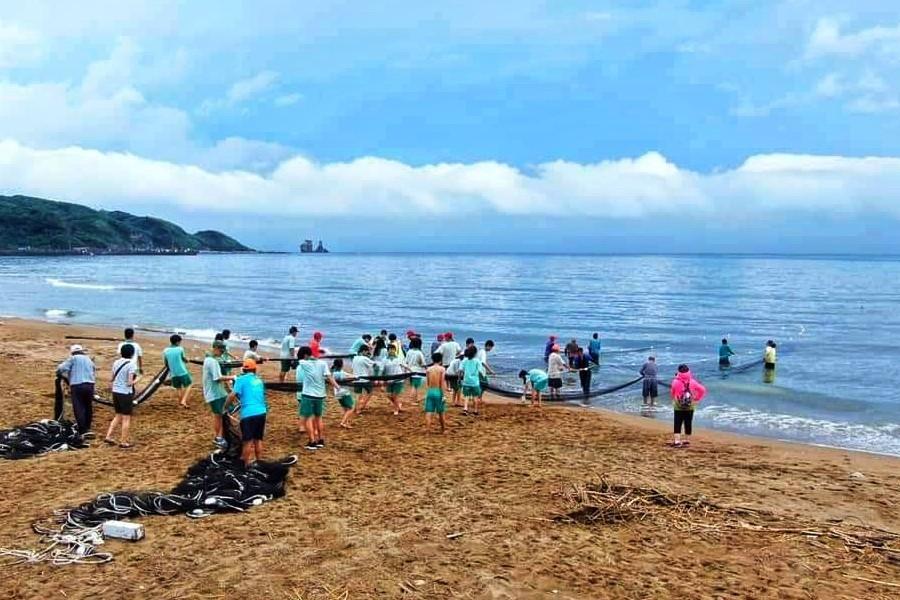 【金山牽罟捕魚趣】老梅綠石槽、萬里繡球花季、金山老街一日遊