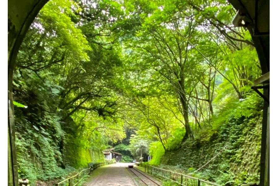 【相聚在桃園】後慈湖、舊百吉隧道、許厝港溼地、南寮漁港二日遊