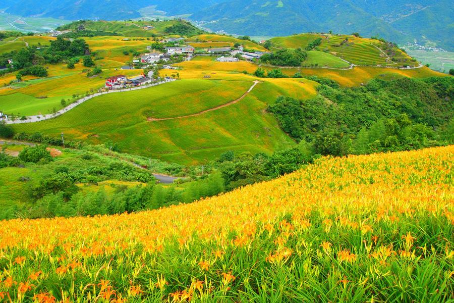 【柚見金針花】六十石山、赤科山、採鶴岡文旦、清水斷崖、花東煙波三日遊