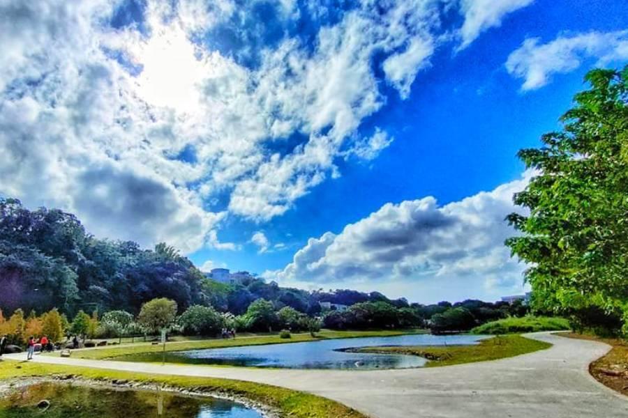 【相聚在桃園】觀音蓮花季、落羽松公園、石門水庫賞景、鳳飛飛故居二日遊