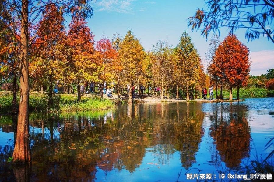 【絢爛秋色】大湖公園、月眉濕地落羽松、拱北殿、白沙屯、六福萬怡二日遊