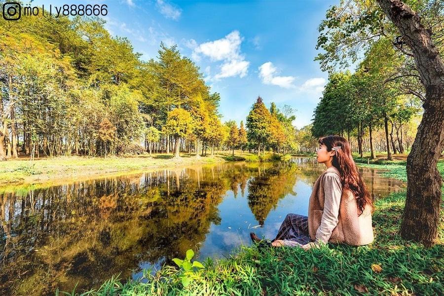 【來嘉森呼吸】漫遊山城奮起湖、阿里山茶園、落羽松秘境二日遊