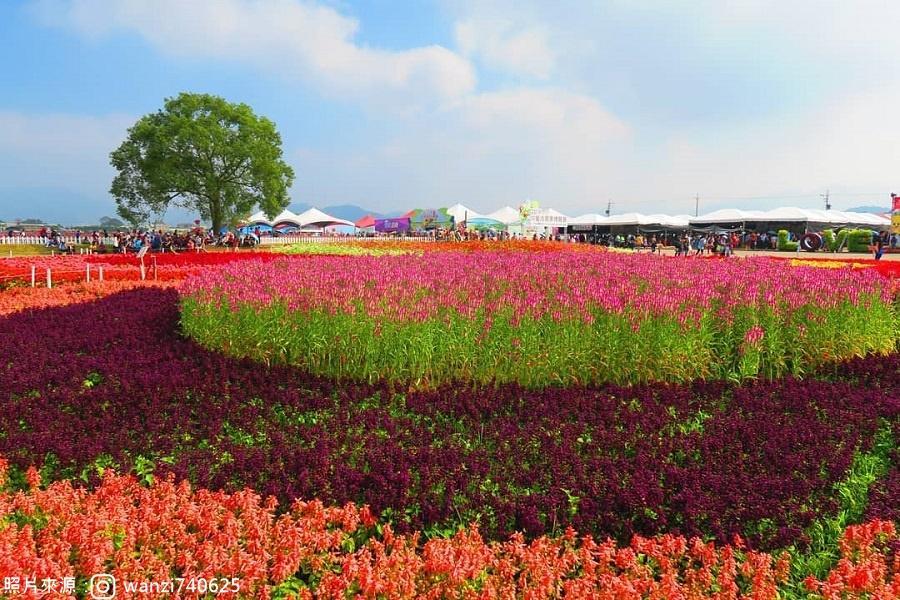 【香自在‧享自在】 台中花毯節、奉茶體驗、澄霖落羽松、3D彩繪村一日遊