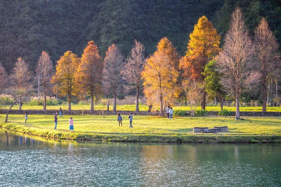 【良辰桔時】宜蘭採金桔.安農落羽松.煙波蘇澳四季雙泉館泡湯二日