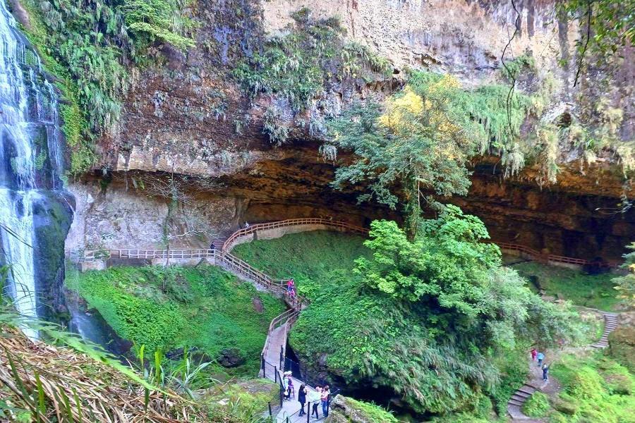 【迷你團】螢光飛舞杉林溪、溪頭松林町妖怪村、大崙山茶田舒壓趣二日