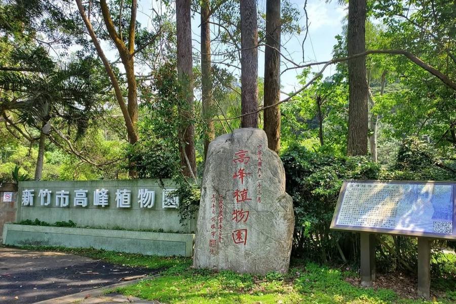 小百岳十八尖山賞桐花、綠色麵包樹巨人、高峰城市綠洲、南寮漁港海味一日