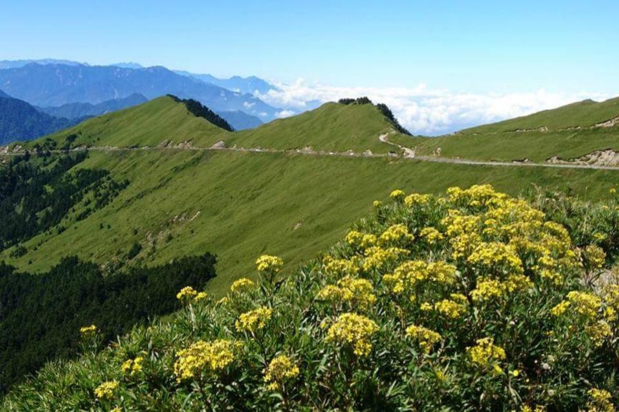 清境福壽山農場、埔里台一花卉18度C巧克力工房、合歡山武嶺景觀公路二日