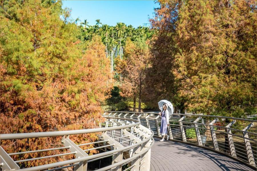 普台迴旋曲橋落羽松林、琉璃中台禪寺、乘船遊日月潭、涵碧水色冠月酒店二日
