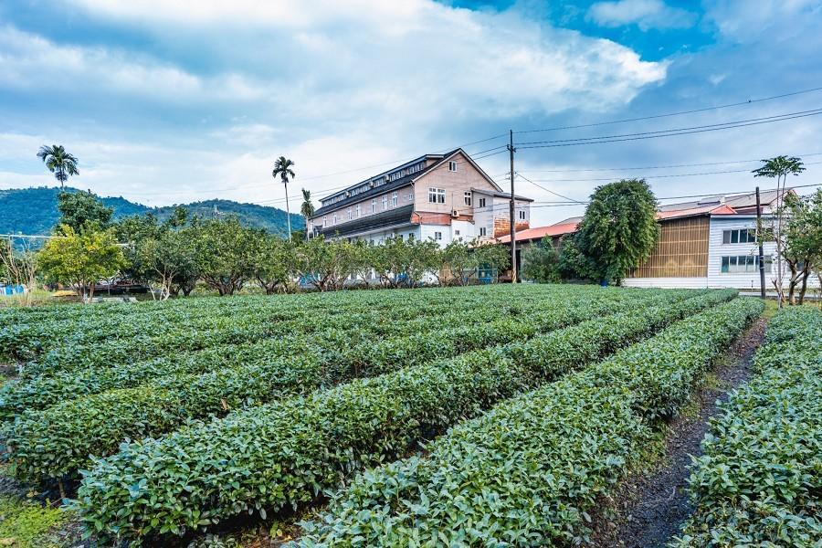 【冬山茶鄉心體驗】芳岳茶香鳳梨酥DIY、台版摩西分海、壯圍沙丘一日遊