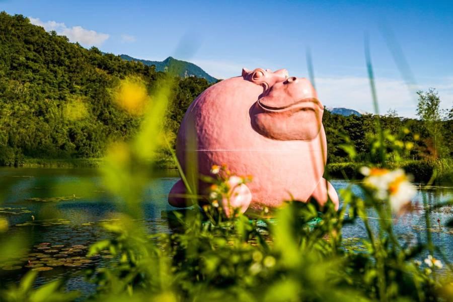 《祥龍賀歲》太魯閣池上鹿野縱谷、南迴無敵海景、嘉義日月潭環島五日