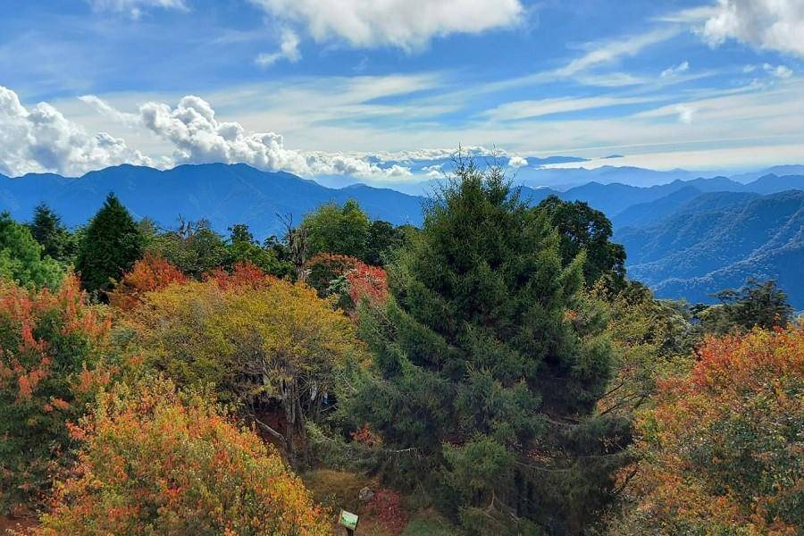 台中大雪山、苗栗藍染蔬食、藺草文化館愛情果園、享沐時光輕奢風呂三日