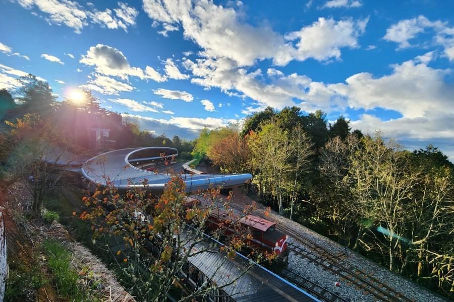 【楓漫阿里山】船家海鮮風味自助餐、療癒水山巨木、奮起湖、璀璨蘭潭三日