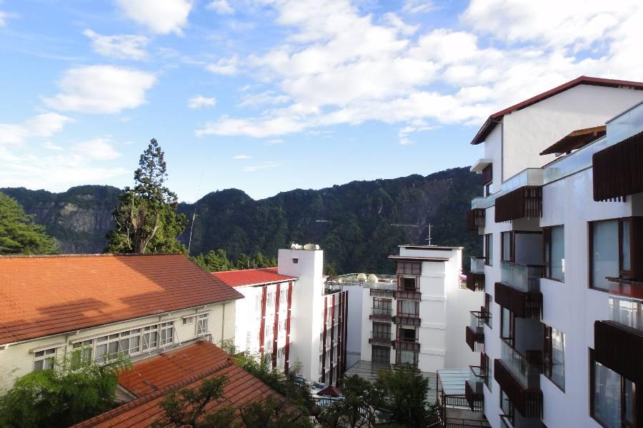 【阿里山森鐵】太平雲梯夢幻茶園、台南杏源珈琲、阿里山賓館奮起湖慢旅三日