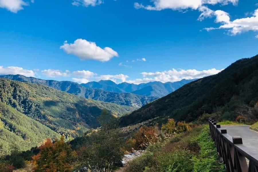 武陵富野森林楓彩、南北谷生態秘境、福壽山景觀茶園、礁溪極致美人湯饗三日