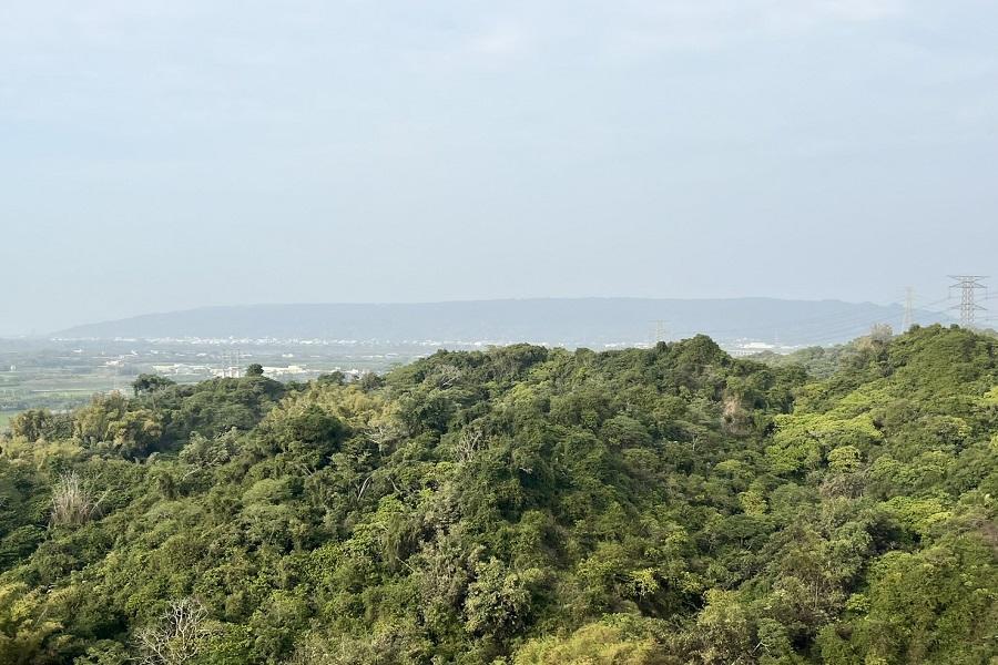 【山稜美景】龍過脈森林步道、太平老街、竹崎天空廊道、蘿莎玫瑰1日