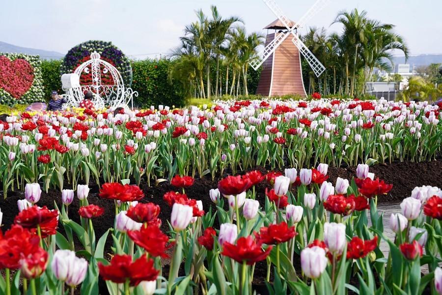 台版庫肯霍夫唯美鬱金香花海、牛罵頭遺址、神社崎後參道、烤肉吃到飽一日遊