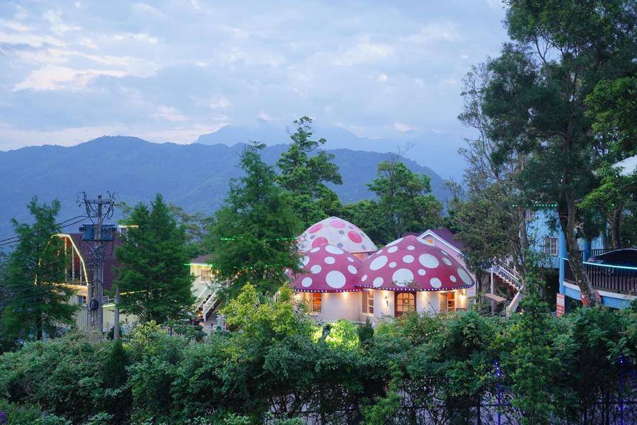 【客庄桐在】山林魔法精靈樹屋蘇維拉、山澗溪谷蓬萊溪、飄香桂花巷一日