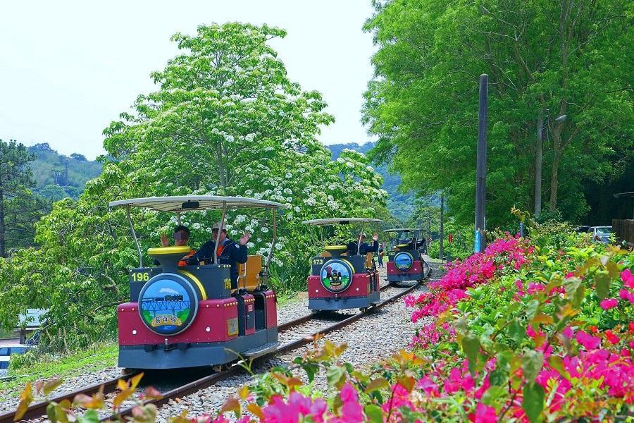 【鐵道柴窯雞】春田柴窯雞、舊山線鐵道、龍騰斷橋、逢甲夜巿、大毅老爺二日