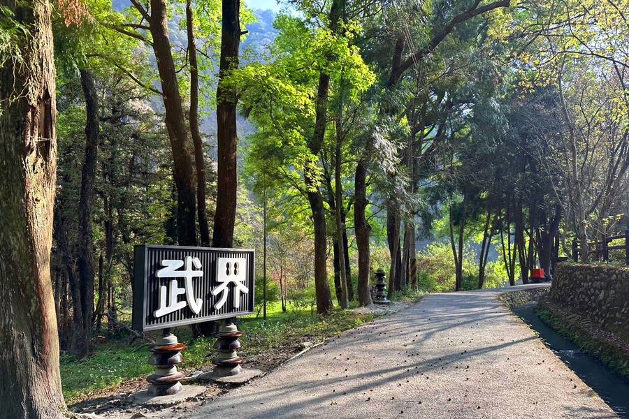 【森夏拾光】探索武界部落、麻竹筍農事體驗、絕美青瓦寶湖宮，埔里冠月二日