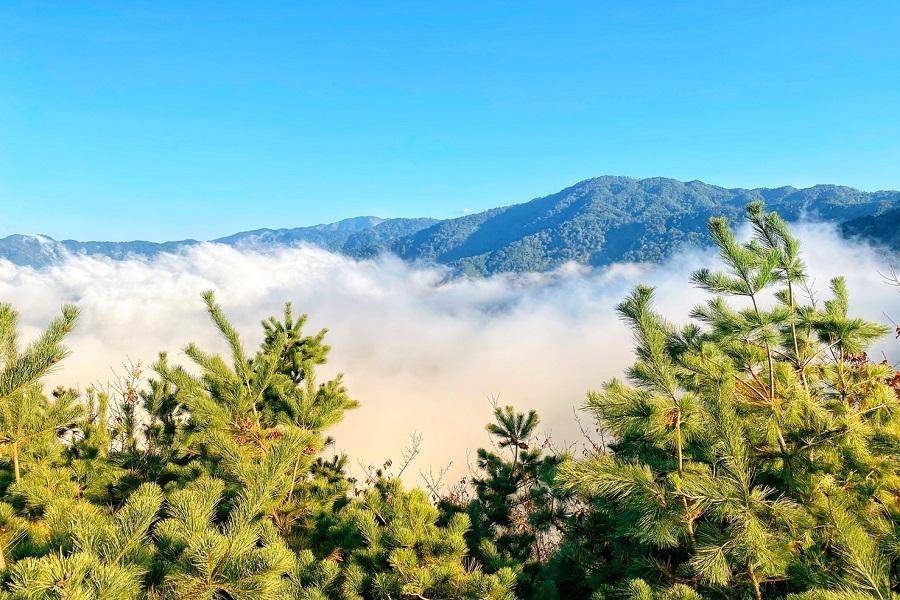 【高雄出發】觀霧山椒魚雪霸農場、桃園和逸COZZI、Xpark悠遊二日