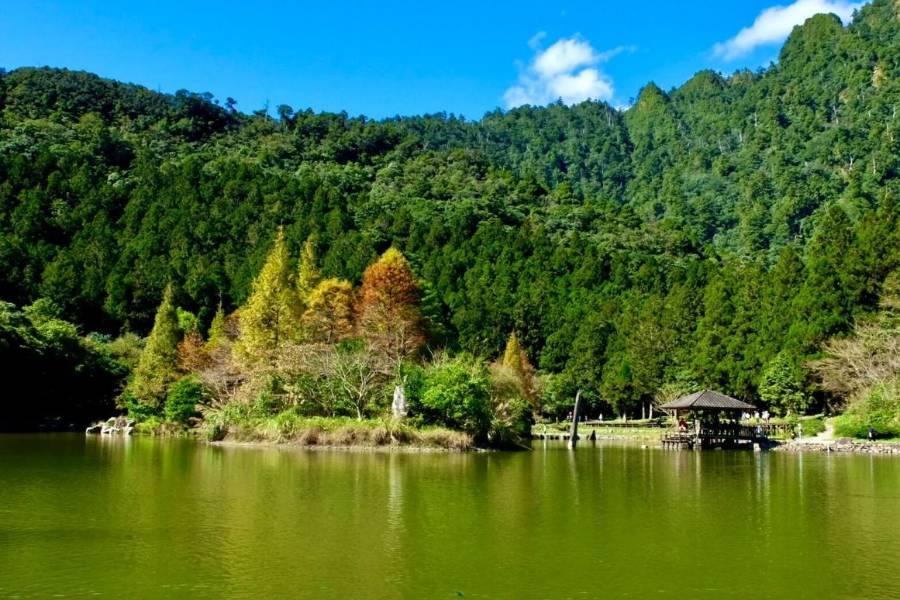 北橫明池童話森林、太平山蹦蹦車、茂興見晴最美步道、棲蘭行館音樂饗宴二日
