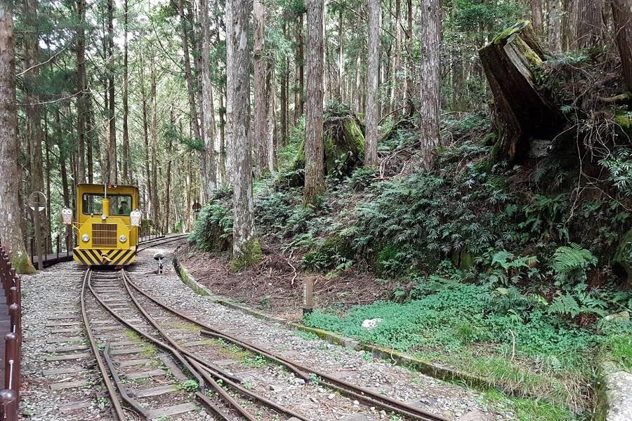 【台中出發】北橫明池童話森林、太平山蹦蹦車、茂興見晴步道、棲蘭行館二日