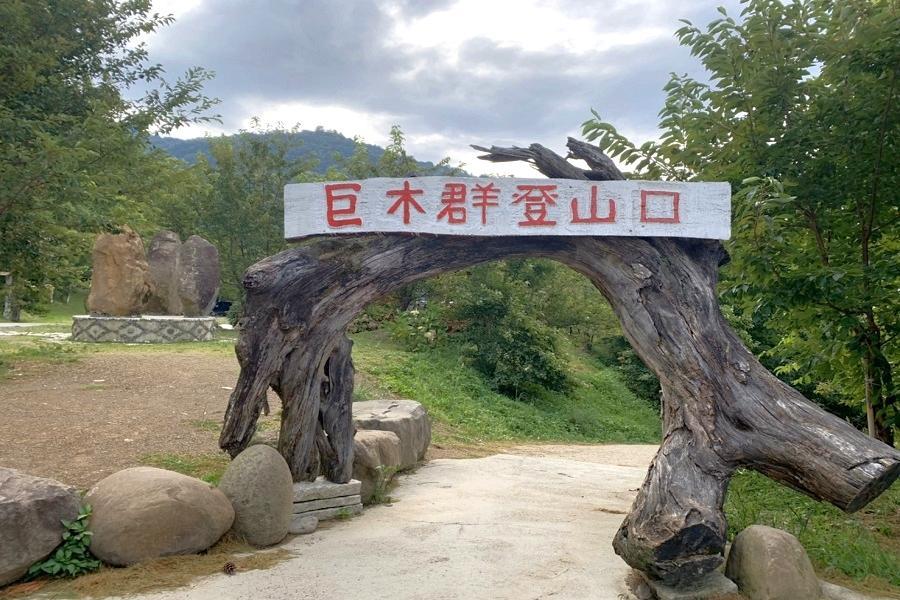 上帝的部落司馬庫斯賞楓、巨木群步道、落羽松湖畔下午茶、客家美食二日遊