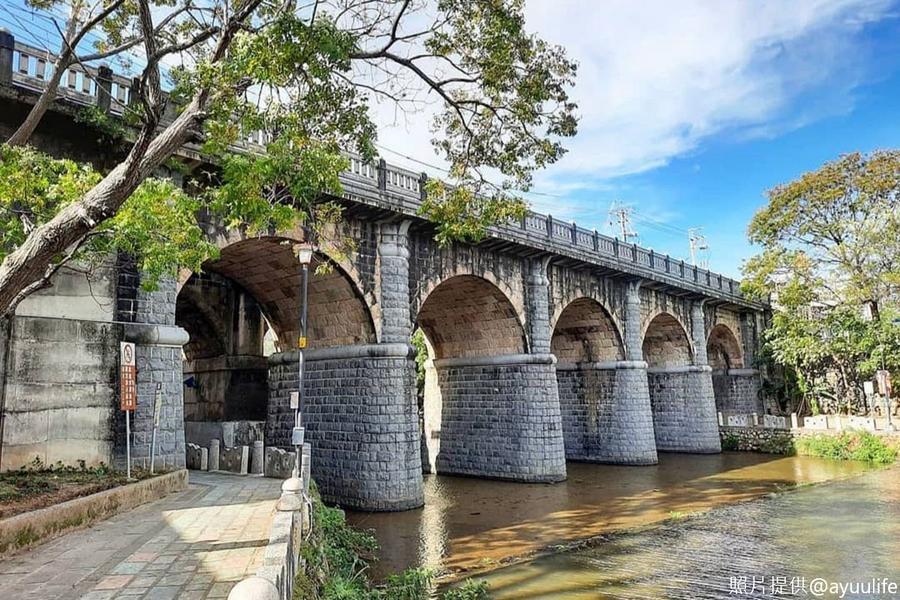 台灣欒樹開花了～牛欄河親水公園、金谷農場、茶園風光一日