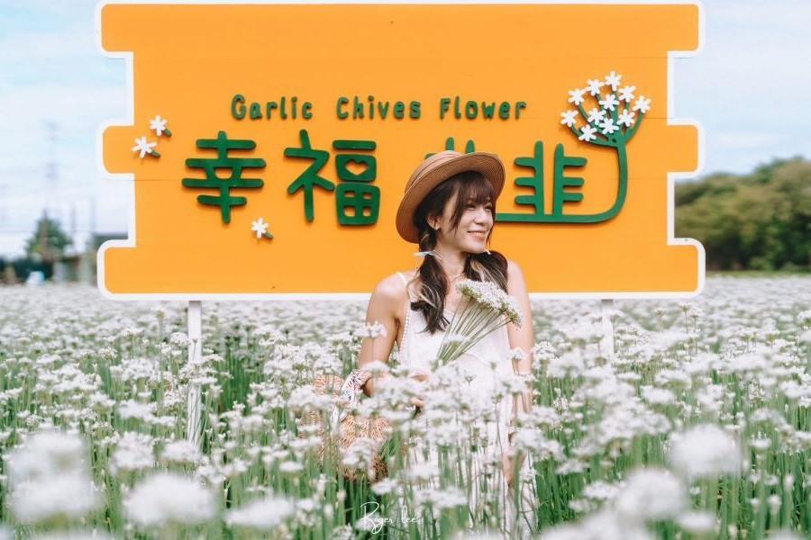 【幸福韭韭】田尾浪漫白色韭菜花、美人樹廊道、黑米文化體驗一日遊