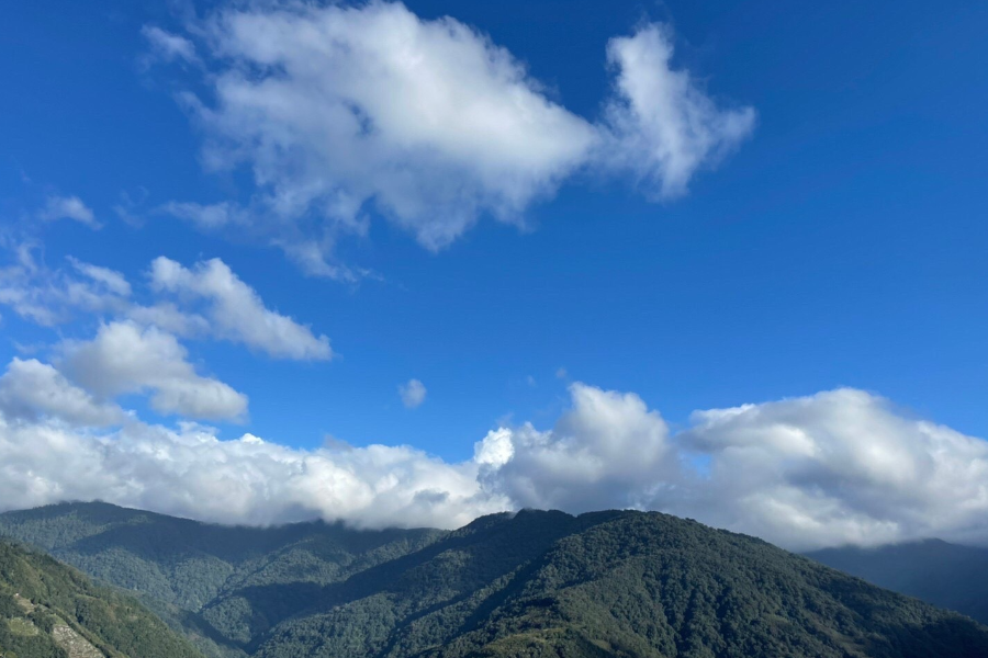 【檜木之森拉拉山】拉拉山遊樂區、忠貞新村、有機蔬菜採摘樂、蜜月世紀三日